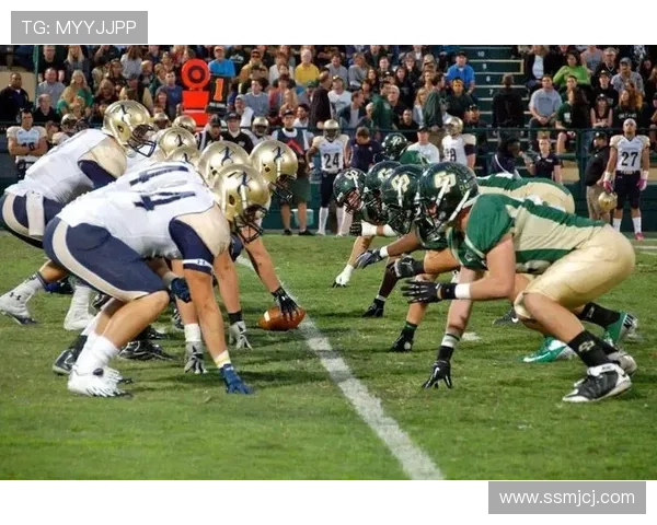 橄榄球比赛规则详解与玩法解析带你了解橄榄球的基本要素与技巧